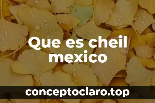 Que es cheil mexico