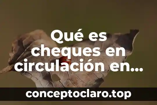 Que es una devolucion en términos contabilidad 3 Qué es cheques en circulación en contabilidad