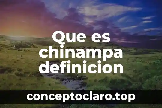 Que es chinampa definicion