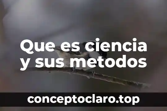 Que es la filosofia ciencia o 3 Que es ciencia y sus metodos