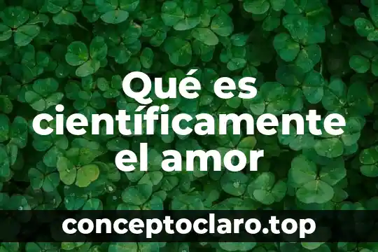 Qué es científicamente el amor