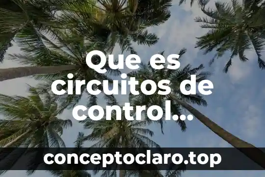 Que es circuitos de control electromagnéticos