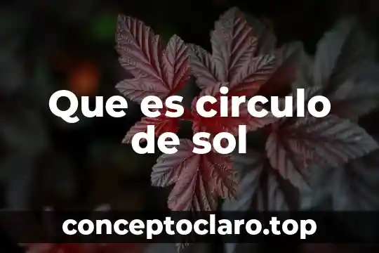 Que es un circulo de lectura y para que sirve 3 Que es circulo de sol