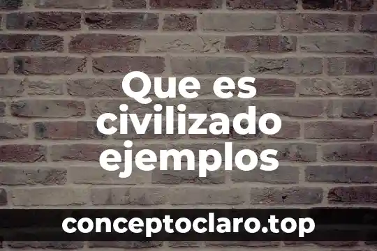 Que es civilizado ejemplos