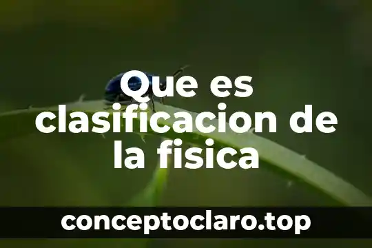 Que es exprecion en educacion fisica 5 Que es clasificacion de la fisica