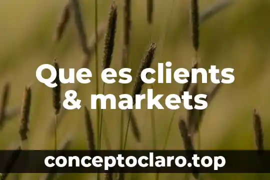 Vitrocerámica que es compuesto 5 Que es clients & markets