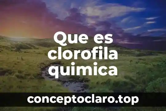 Que es adaptacion quimica 8 Que es clorofila quimica