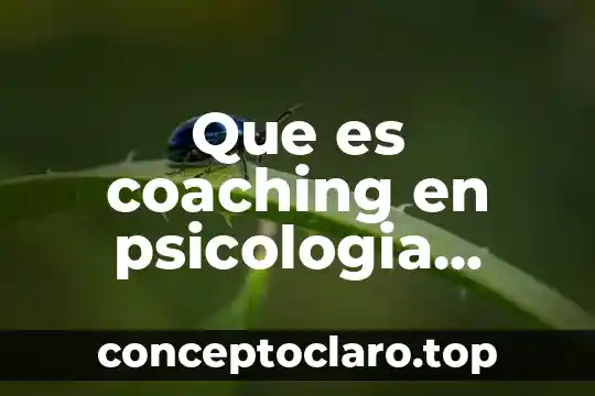 Que es coaching en psicologia organizacional