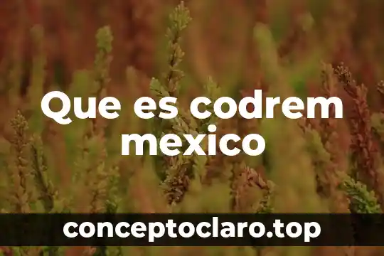 Que es la cultura del agua en mexico 7 Que es codrem mexico