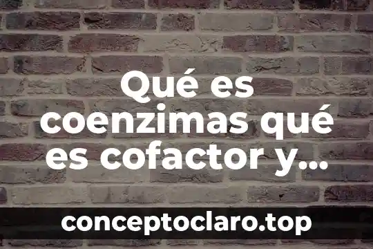 Qué es coenzimas qué es cofactor y ejemplos