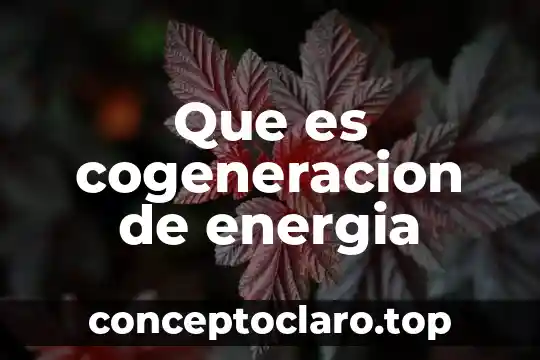 Que es cogeneracion de energia
