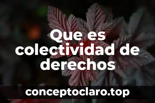 Que es colectividad de derechos