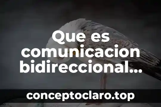 Que es comunicacion bidireccional con el dispositivo