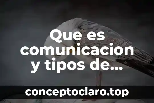 Que es comunicacion y tipos de lenguaje