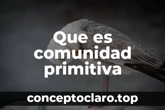Que es comunidad primitiva