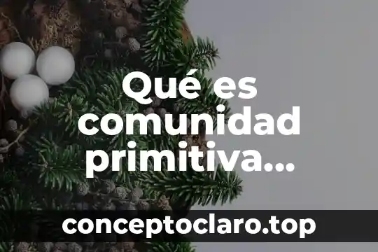 Qué es comunidad primitiva definición