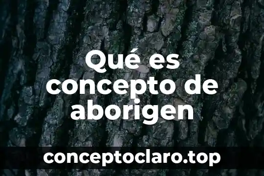 Qué es el concepto constructivo 7 Qué es concepto de aborigen
