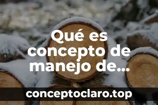 Qué es concepto de manejo de estrategias