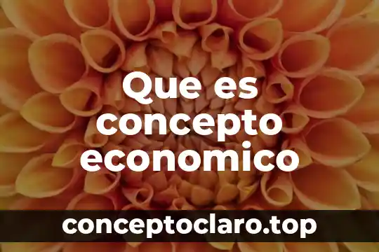 Que es concepto economico