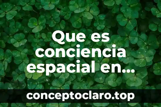 Que es conciencia espacial en educacion fisica