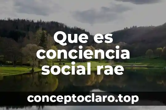 Que es conciencia social rae