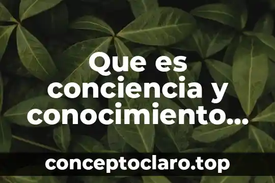 Que es conciencia y conocimiento de si mismo