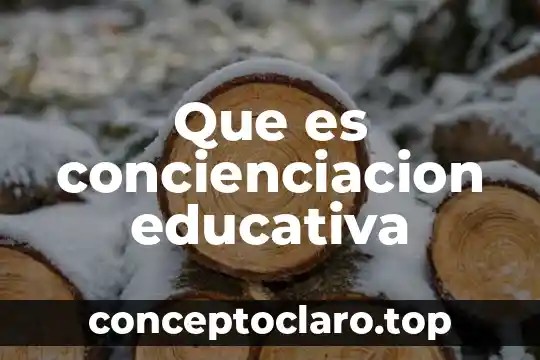 Que es la escolaridad educativa 3 Que es concienciacion educativa