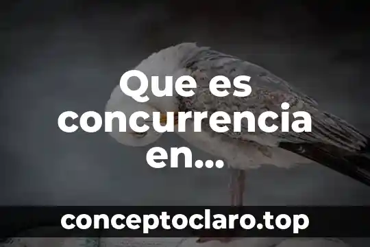 Que es un problema de programacion lineal y sus solucionar 4 Que es concurrencia en programación