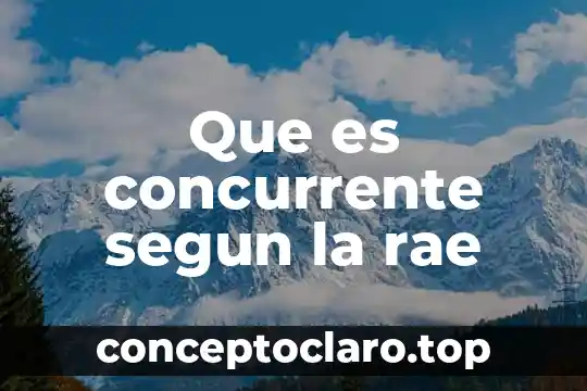 Que es concurrente segun la rae