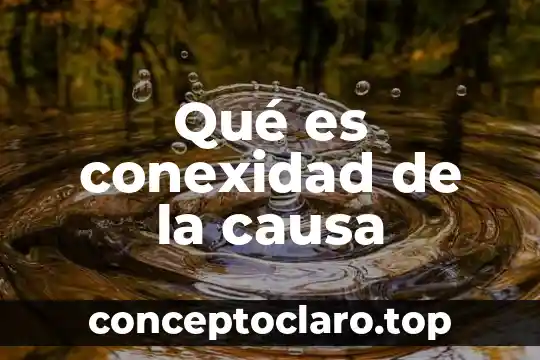 Que es significa sin causa legitima 5 Qué es conexidad de la causa