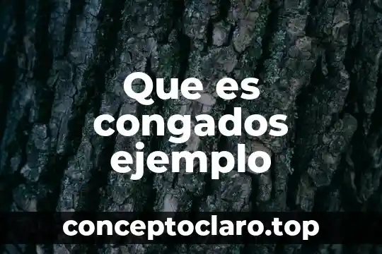 Que es un ejemplo representativo 7 Que es congados ejemplo