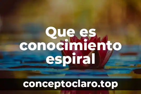 Que es conocimiento espiral