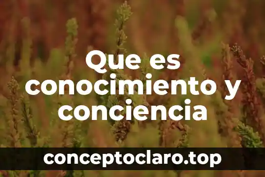 Que es conocimiento y conciencia