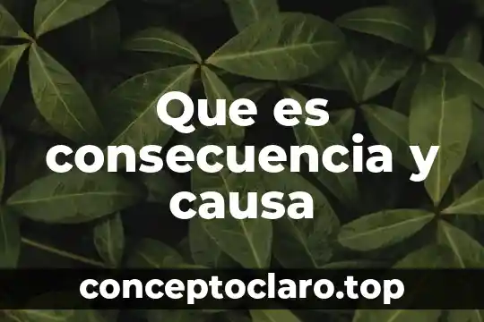 Que es consecuencia y causa