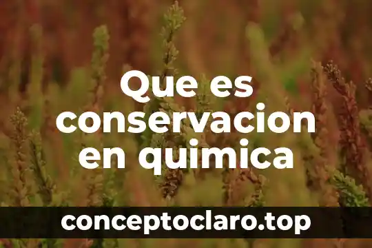 Que es el factor comun en los productos 5 Que es conservacion en quimica