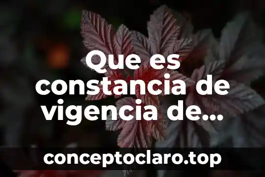 Que es constancia de vigencia de derechos