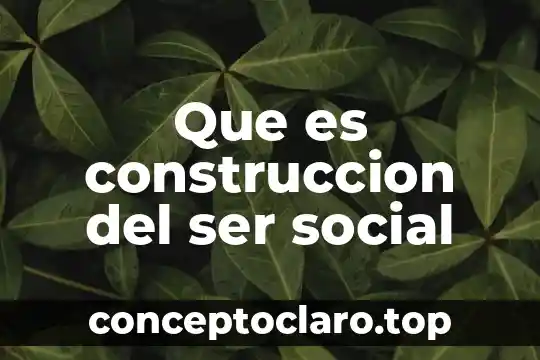 Que es construccion del ser social