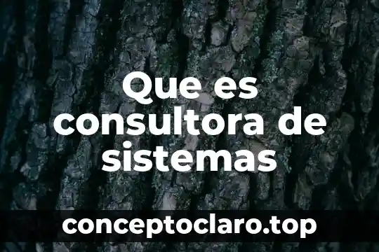 Que es consultora de sistemas