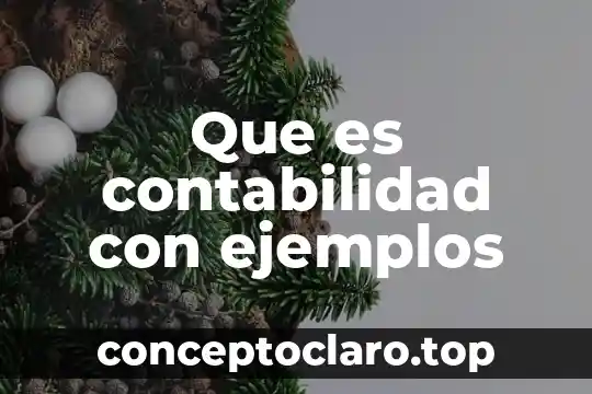 Que es contabilidad con ejemplos