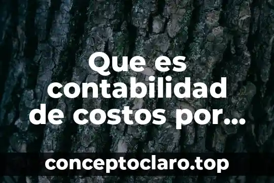 Que es contabilidad de costos por produccion