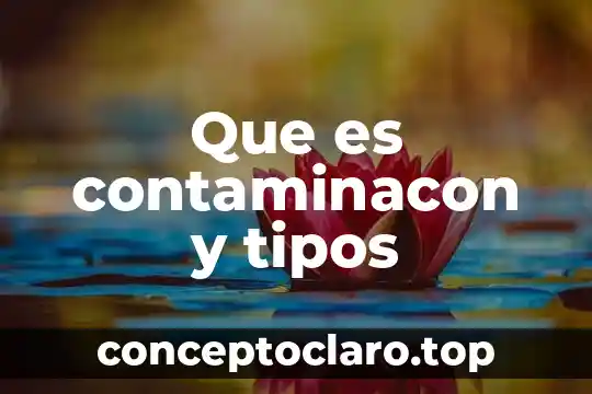 Que es contaminacon y tipos