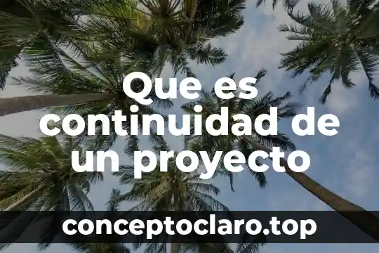 Que es el nombre de un proyecto 4 Que es continuidad de un proyecto