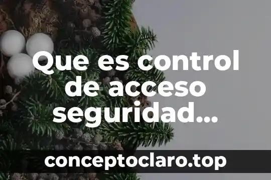 Que es bandas de enderezado o sistemas de enderezado 4 Que es control de acceso seguridad informatica