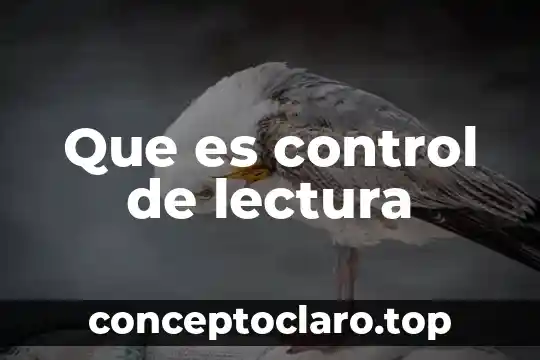 Que es control de lectura