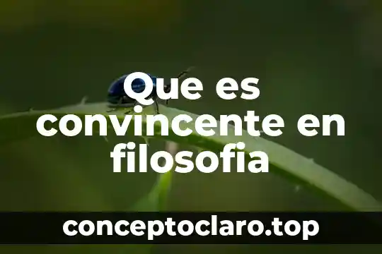 Que es convincente en filosofia