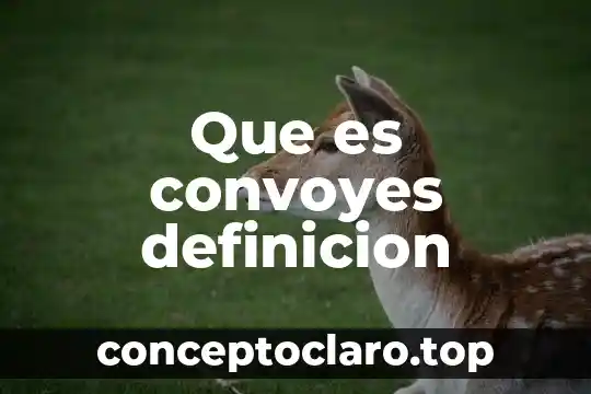 Que es convoyes definicion