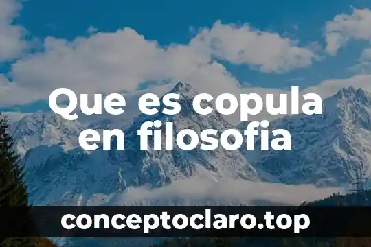 Que es copula en filosofia