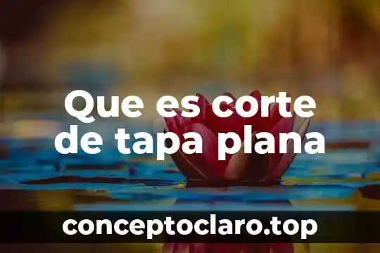 Que es corte de tapa plana