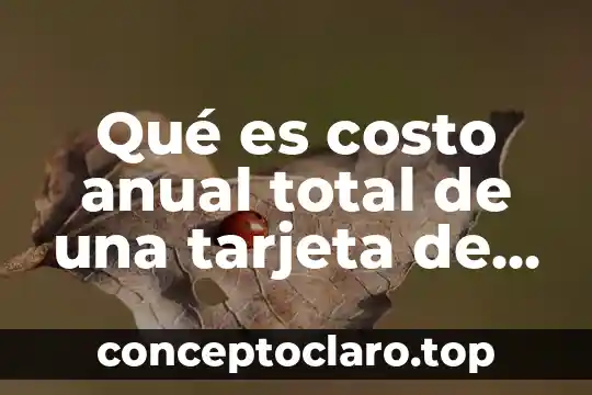 Que es el periodo inter anual 6 Qué es costo anual total de una tarjeta de crédito