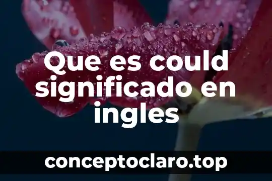 Que es could significado en ingles